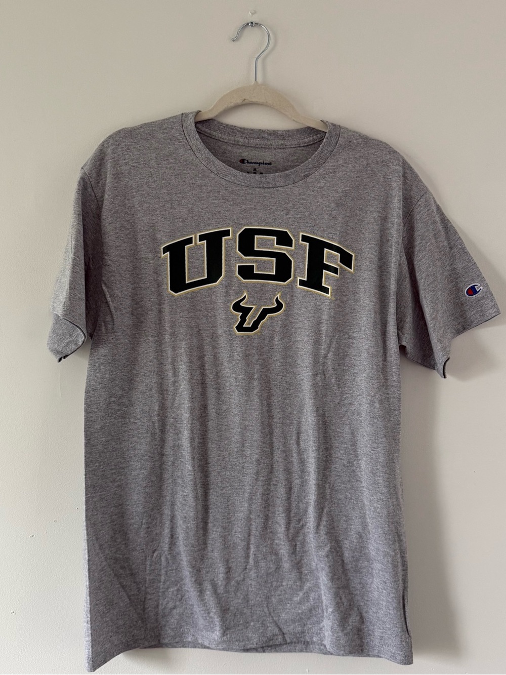 NWT Champion USF Bulls Gray Graphic TShirt | University of South Florida Tee | M